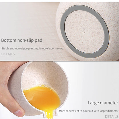 Ruční odšťavňovač